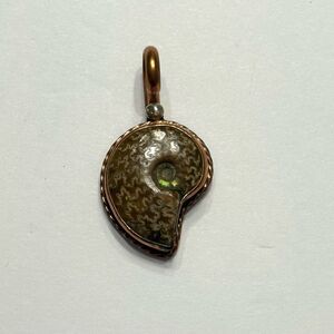 Vintage David Umpleby made in Santa Fe Snail Shell Pendant
